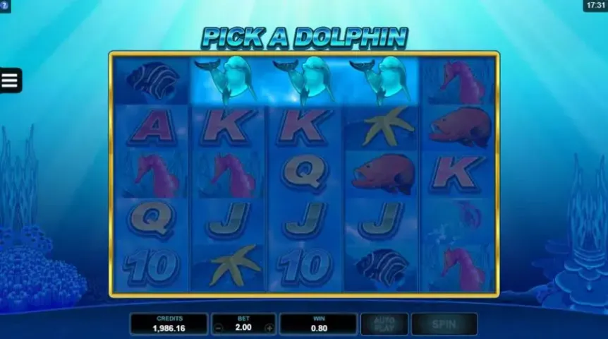 Dolphin Coast slot screenshot 3