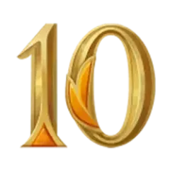 icon 10