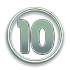 icon 10