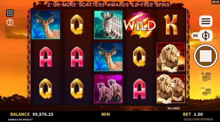 Animals of Africa slot screenshot