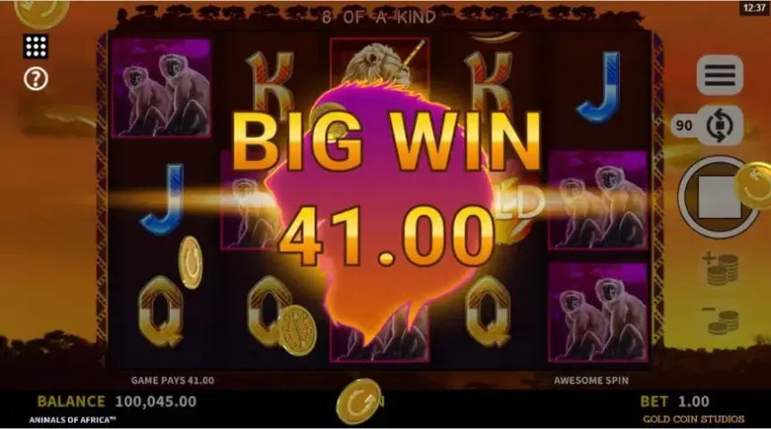 Animals of Africa slot screenshot