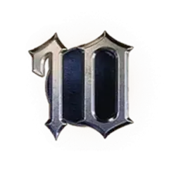 icon 10