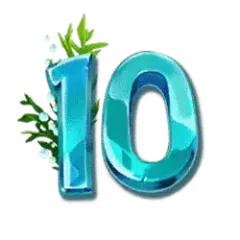 icon 10