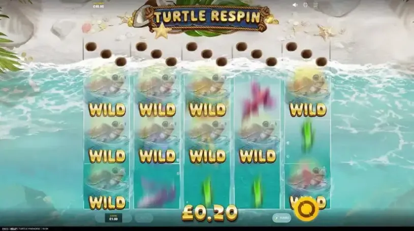 Turtle Paradise slot screenshot 2