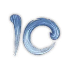 icon 10