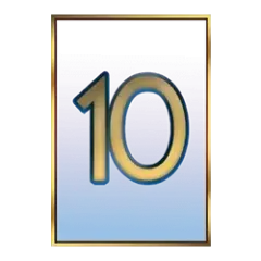 icon 10