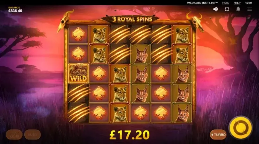 Wild Cats Multiline™ slot screenshot 7